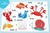 Booktopus My First 100 Things Under The Sea Mini - Early Learning Picture Books for Kids 4+
